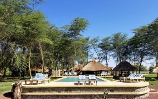 Africa Safari Lake Manyara