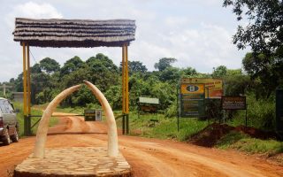 Entrance Fees of Murchison Falls National Park 2021