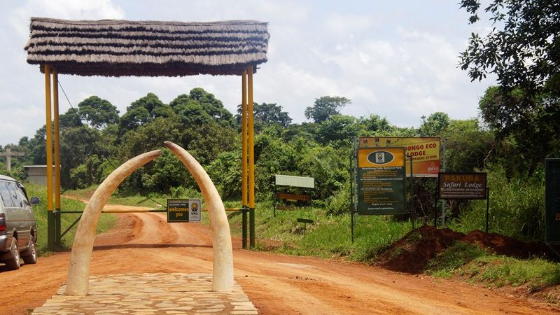 Entrance Fees of Murchison Falls National Park 2021