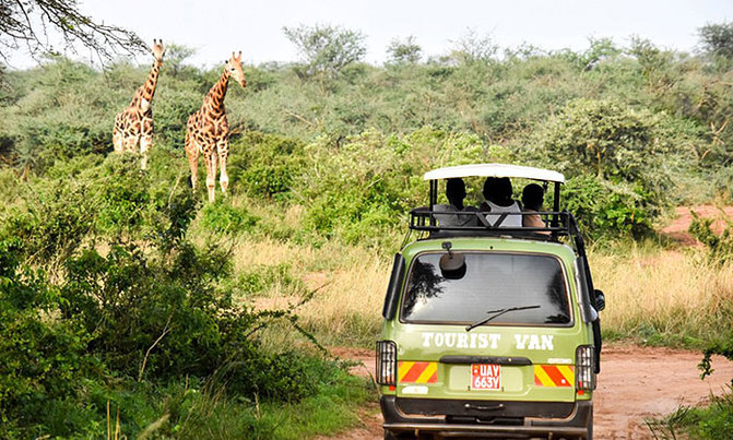 How to Get to Murchison Falls National Park