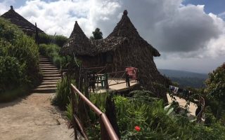 Mount Kilimanjaro View Lodge