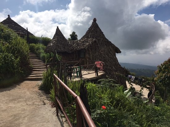Mount Kilimanjaro View Lodge