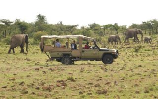 10 Activities to Include on your Uganda Safari 2021/2022
