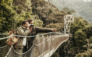 Facts about Nyungwe Forest National Park