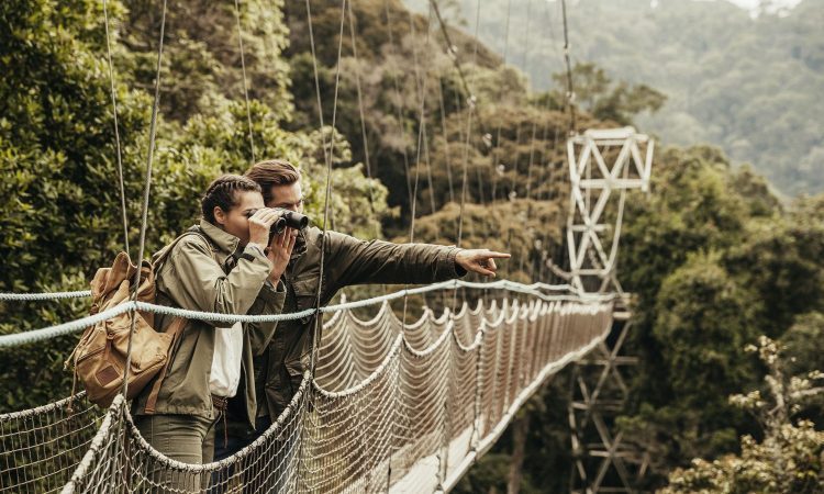 Facts about Nyungwe Forest National Park