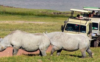 12 Days Uganda Tanzania and Zanzibar Safari