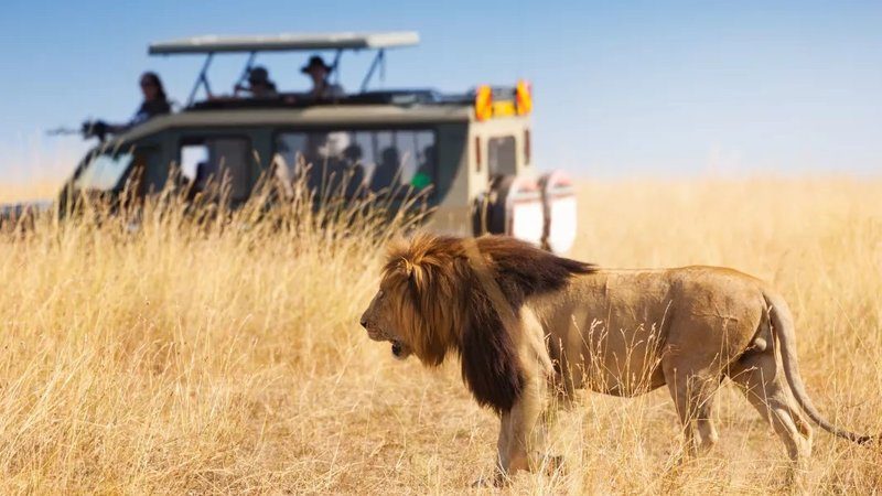 3 Days Amboseli Wildlife Safari