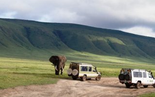 3 Days Serengeti National Park Tour
