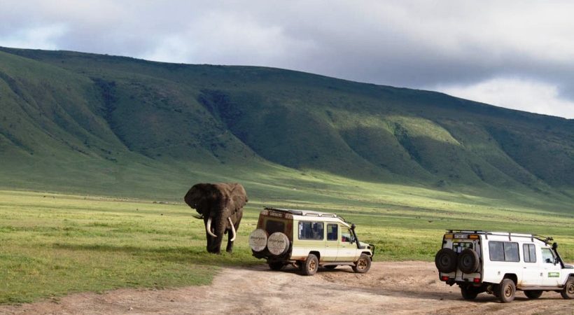 3 Days Serengeti National Park Tour