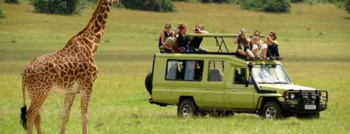 3 Days Serengeti & Ngorongoro Wildlife Safari