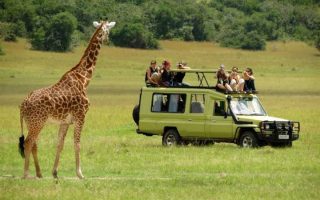 3 Days Serengeti & Ngorongoro Wildlife Safari