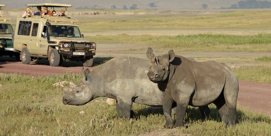 4 Days Ngorongoro & Serengeti Wildlife Safari