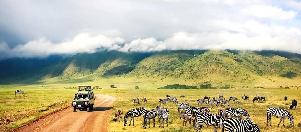 7 days Kenya and Tanzania Wildlife safari | Explore Tanzania and Kenya