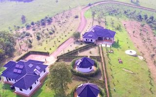 Crested Crane Bwindi Hotel