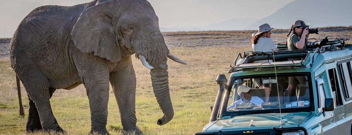 Wildlife Game Drives in Uganda