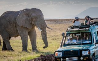 Wildlife Game Drives in Uganda