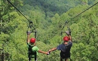 The achieve safari experience