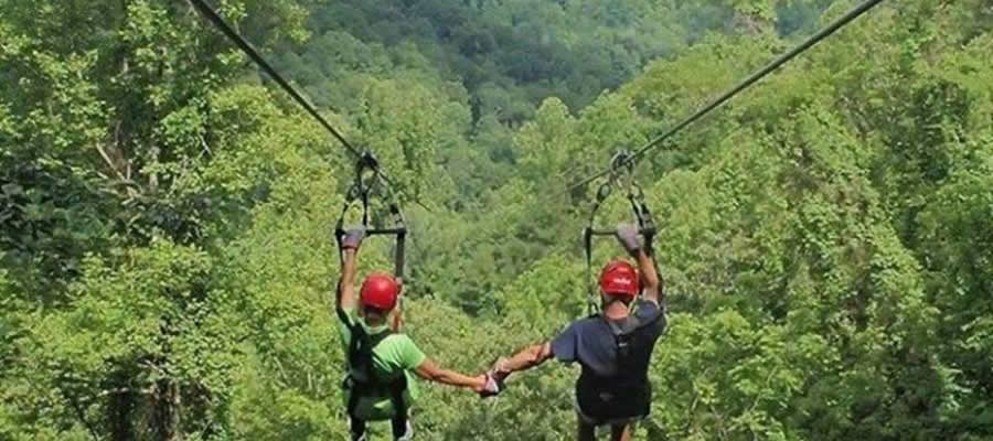 The achieve safari experience