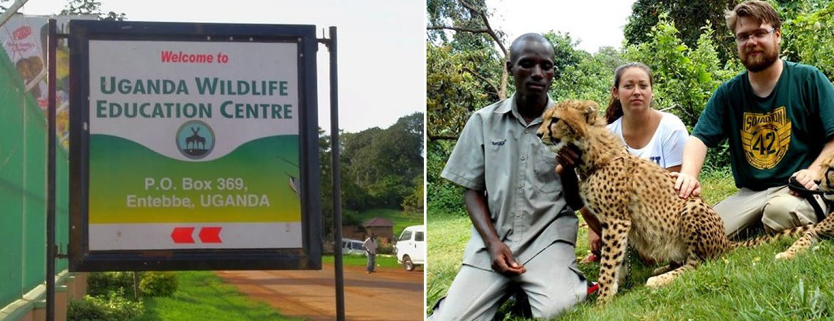 Behind the scenes at the Uganda Wildlife Education Centre
