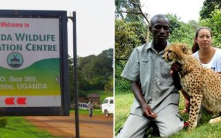 Behind the scenes at the Uganda Wildlife Education Centre