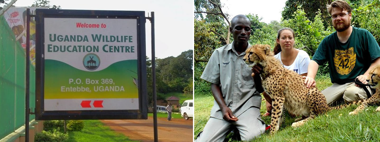 Activities to do at Entebbe Zoo