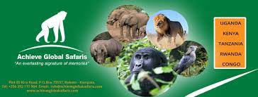 The achieve safari experience