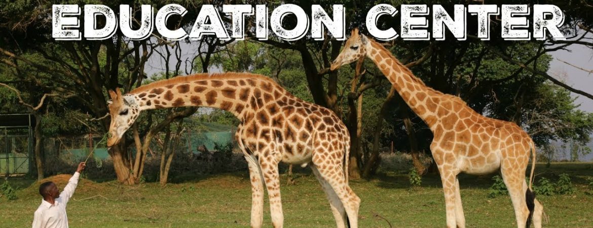 Entebbe Zoo