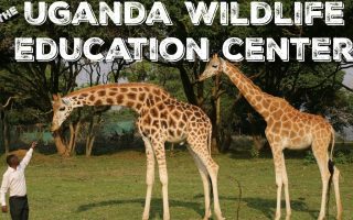 Entebbe Zoo