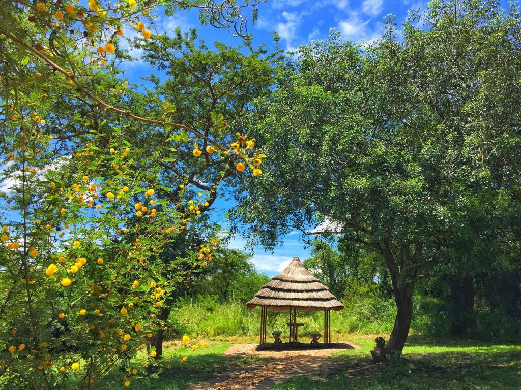 Murchison falls bamboo village