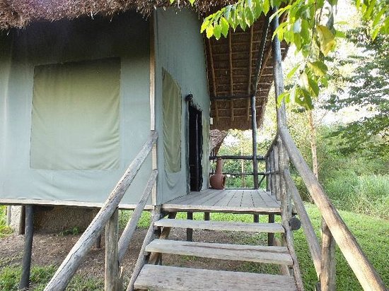 Ishasha Ntungwe River camp