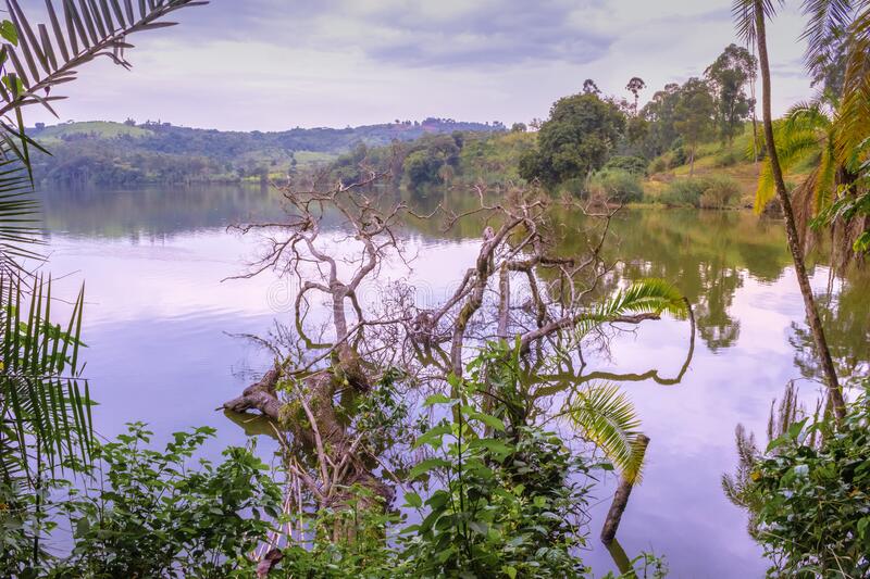 Adventures At Lake Nyabikere