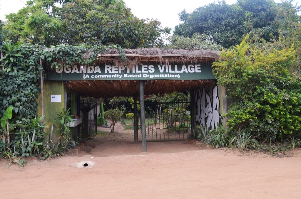 Best Things to do in Entebbe Town