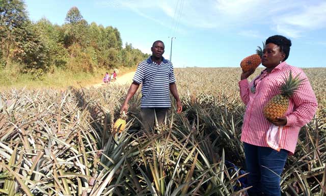 Agro tourism safaris in Uganda