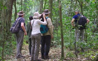 Most Toured Places in Western Uganda