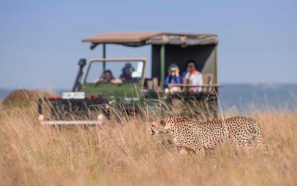 What Not To Do In A Safari?