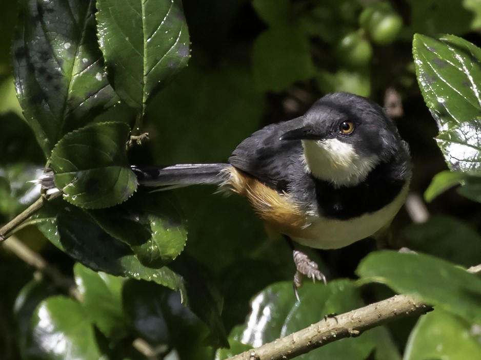 List of activities to do around Sipi Falls