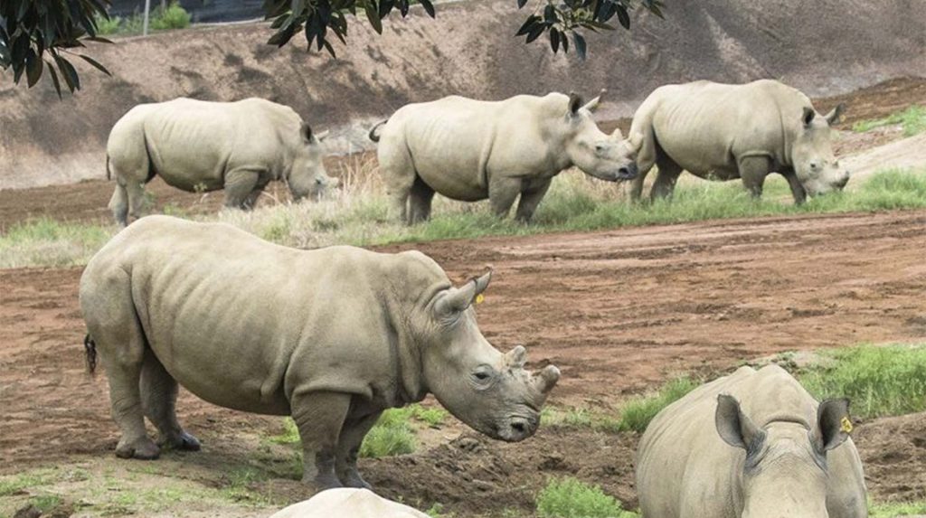 Uganda wildlife reserves