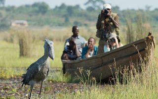 A guide to visiting Mabamba swamp in Uganda