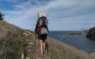 Safari Activities to do at Central Island National Park